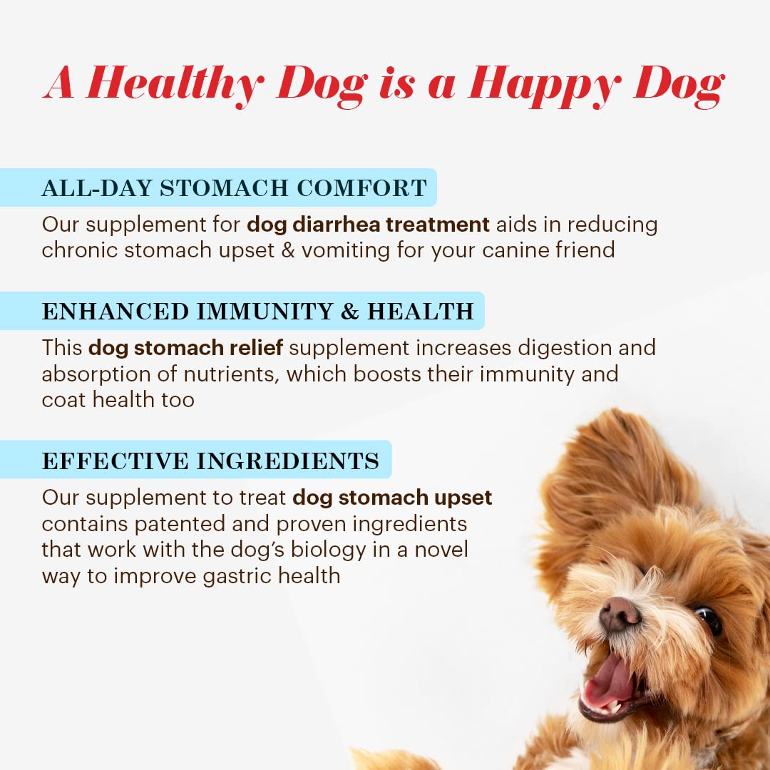 Vitalize Alimend K9 alivio vómitos y diarrea.