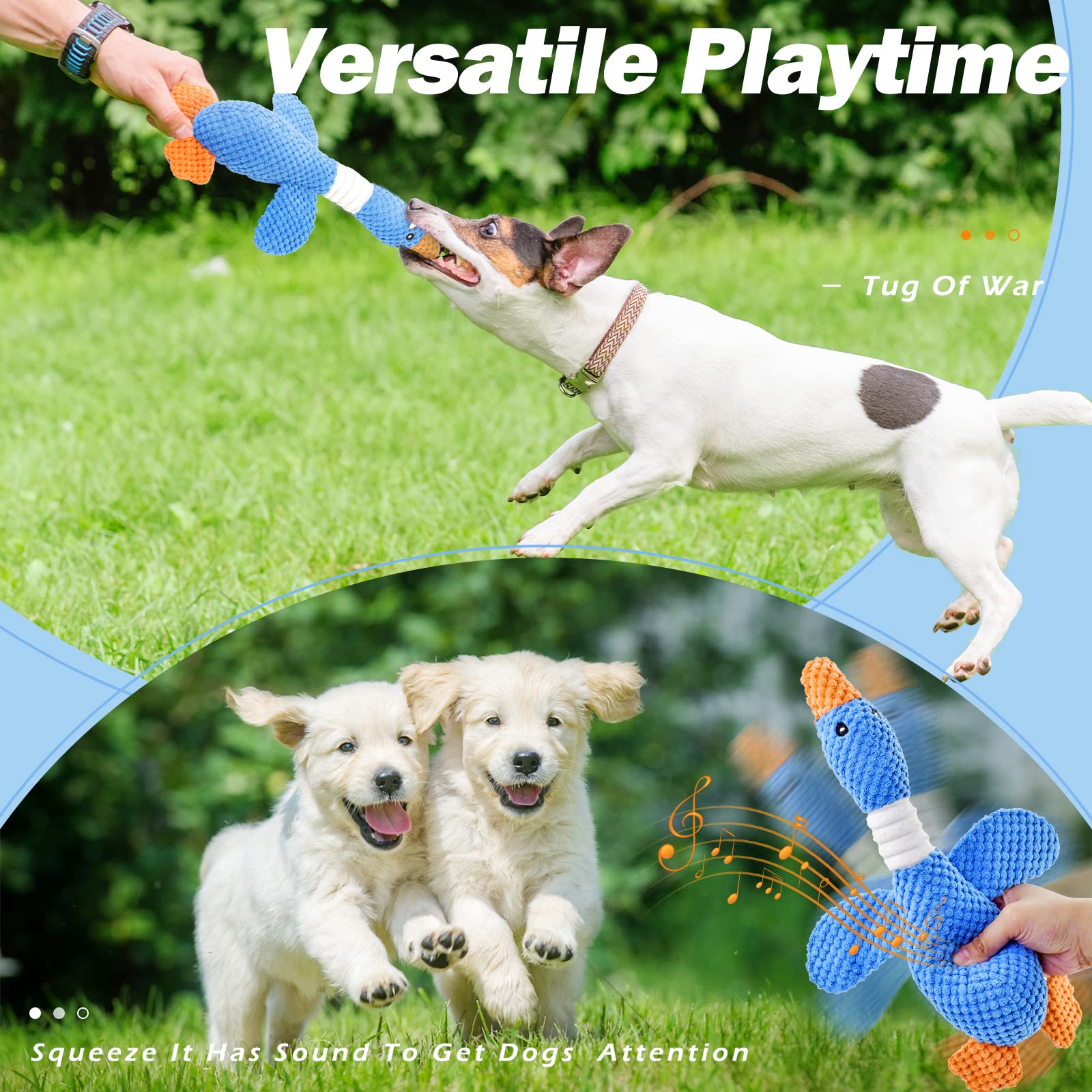 Cadeau pour chien Vitscan, jouet amusant pour anniversaire