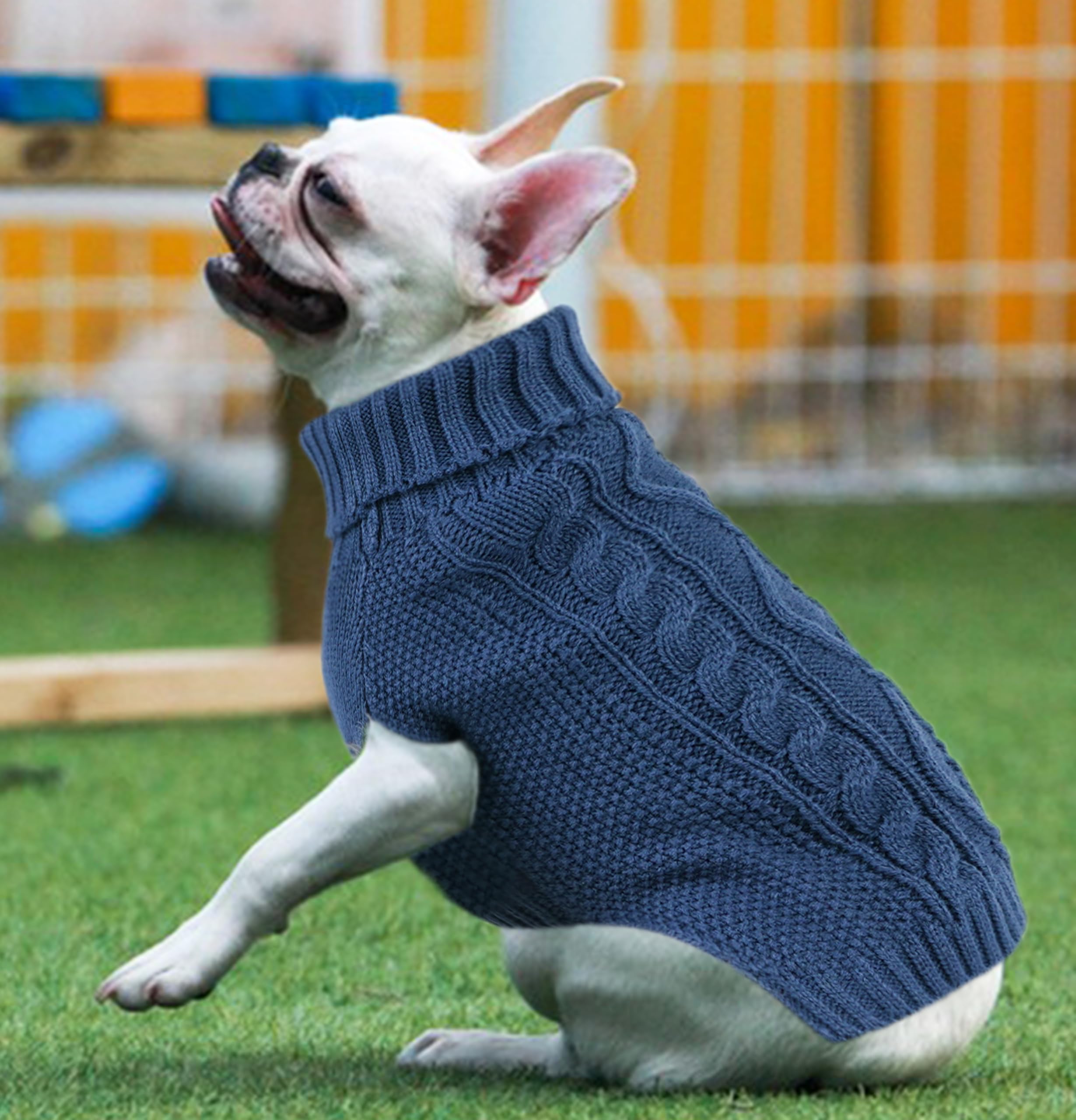 Viunimo sudadera para perro pequeño azul, vista trasera, perfecta para estilo invernal.