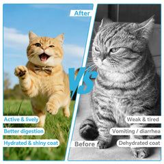 VivaElixir prebióticos FOS para gatos, apoyan la salud intestinal durante la recuperación.