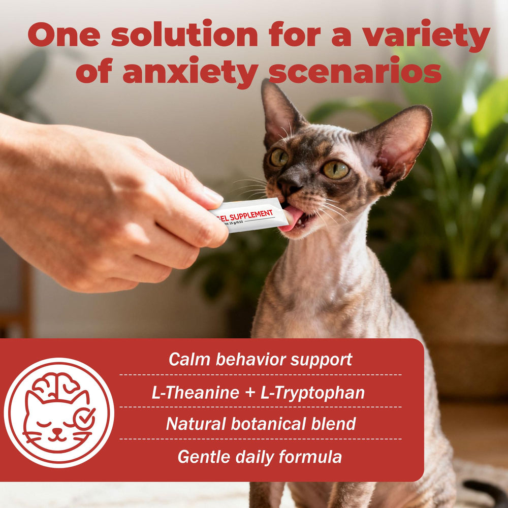 VivaElixir con L-teanina, ingrediente para equilibrar el ánimo felino