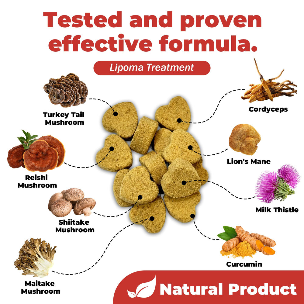 VivaElixir mezcla de hongos medicinales, primer plano de ingredientes