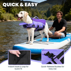 VIVAGLORY asa superior para levantar al perro con seguridad.