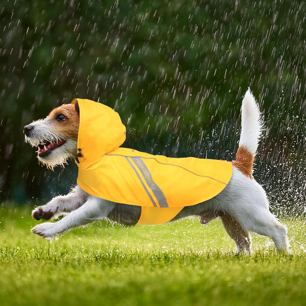 VIVAGLORY Wetoff lavable a mano o a máquina para limpieza fácil