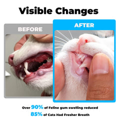 VivaElixir Cuidado Dental Gato: sabor natural de pollo que anima a comer.