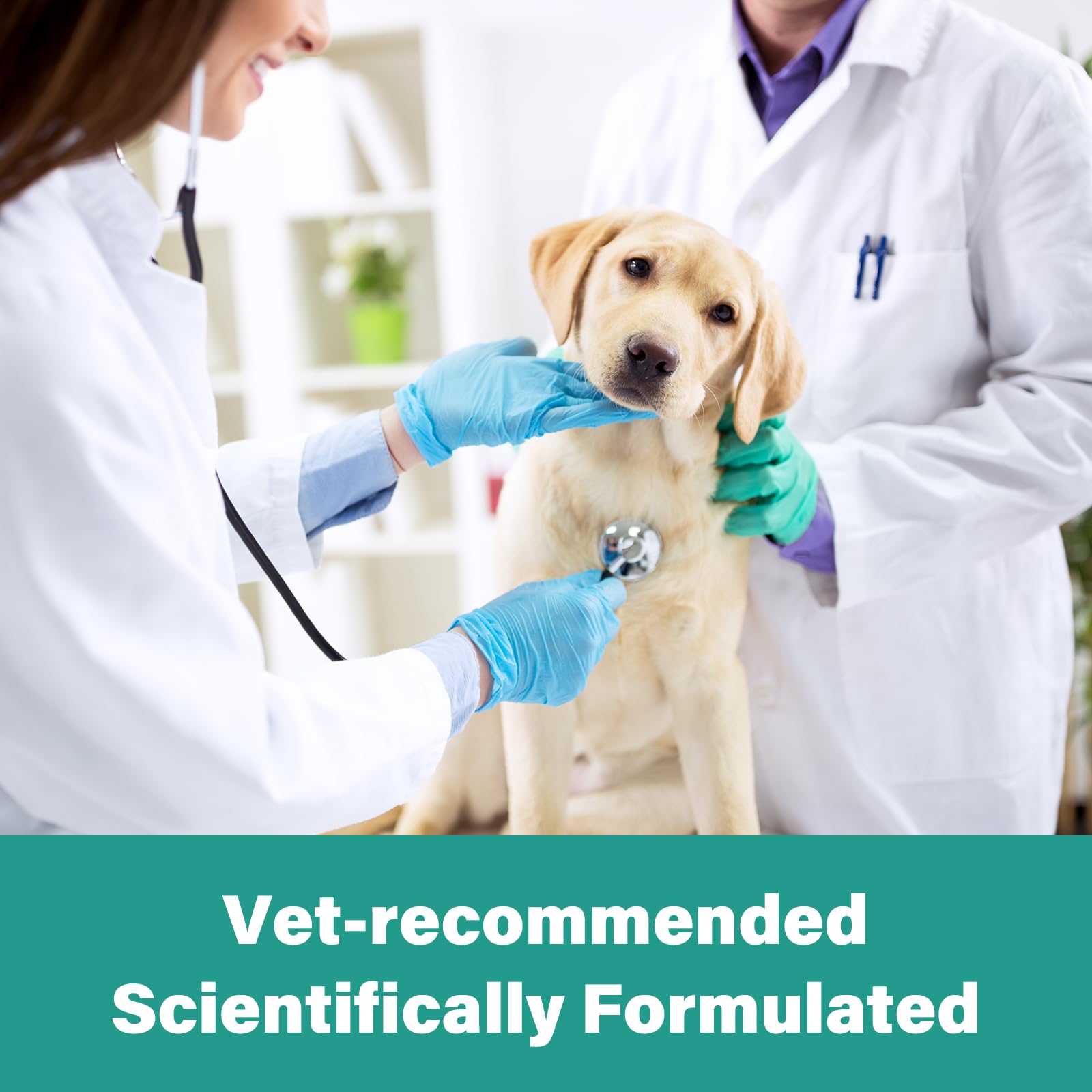 VivaElixir Dosis fácil según peso del perro.