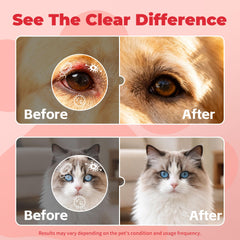 Conservantes ausentes: VivaElixir cuida ojos de perros sin irritación.