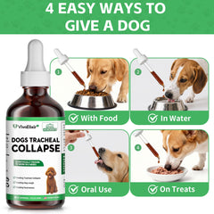 VivaElixir ingredientes herbales para salud respiratoria