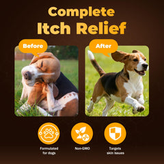 VivaElixir Manuka para perros: pelo brillante y piel sana gracias al krill