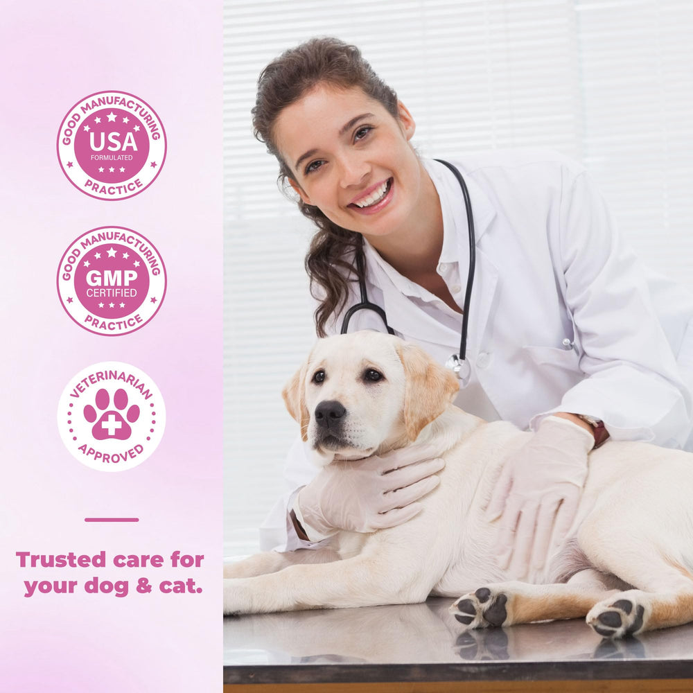 VivaElixir Probióticos: textura suave apta para perros y gatos.
