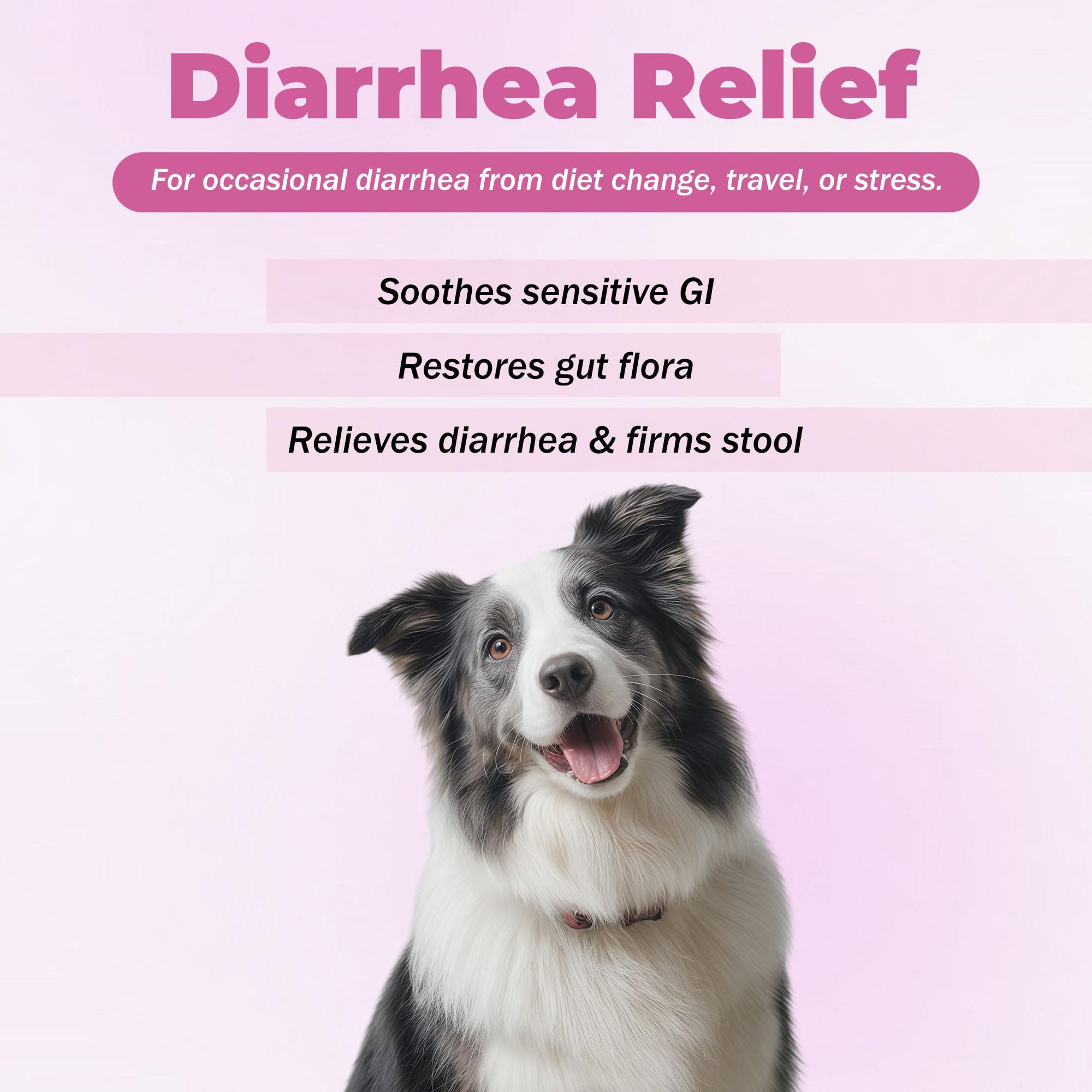 VivaElixir Probióticos en envase de 300 tabletas facilita la dosis diaria para mascotas.