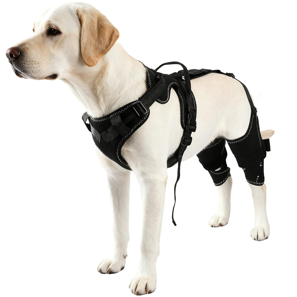Arnés Vivifying con soporte trasero para movilidad de perro