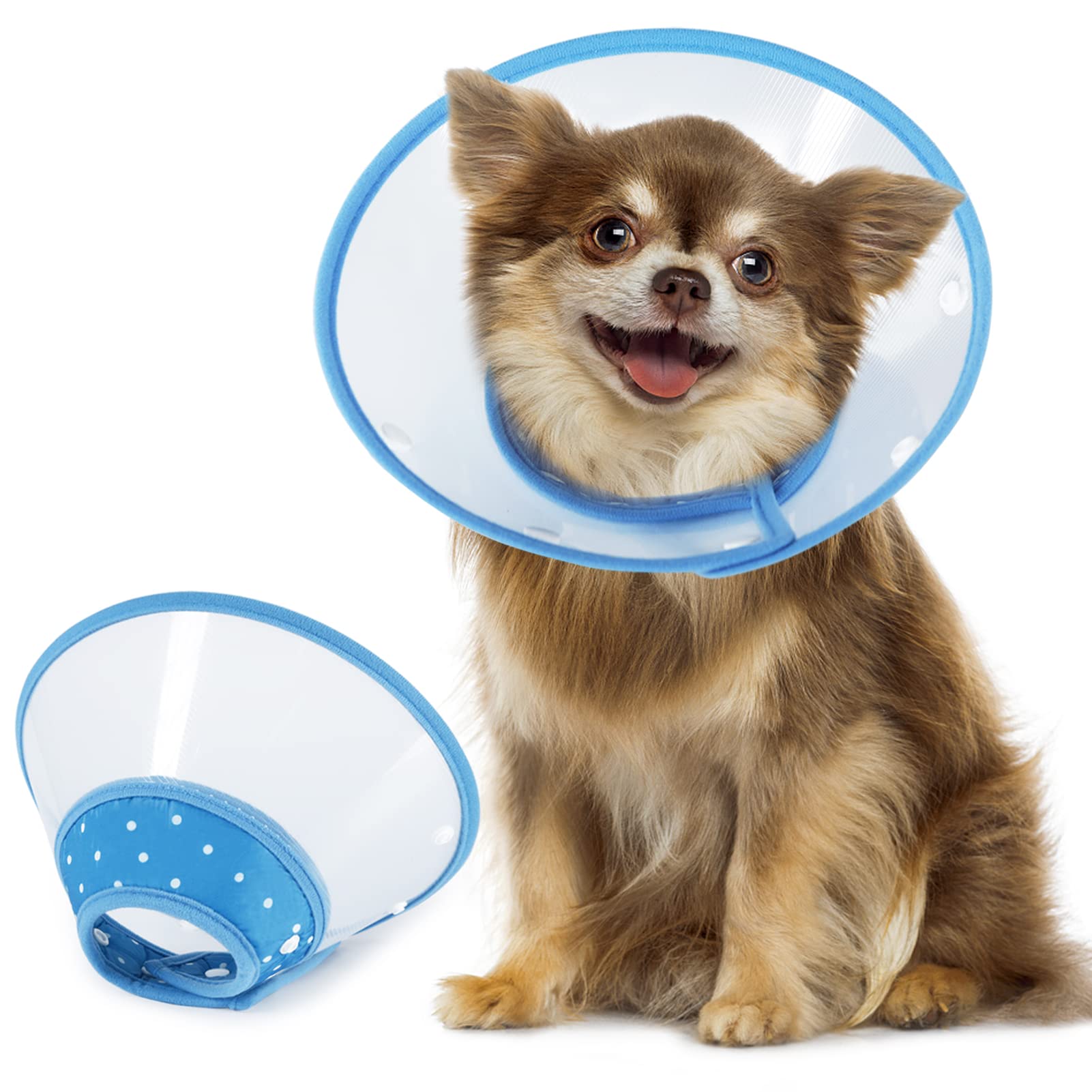 Collar Isabelino Vivifying para perros pequeños, azul, protege heridas tras cirugía.