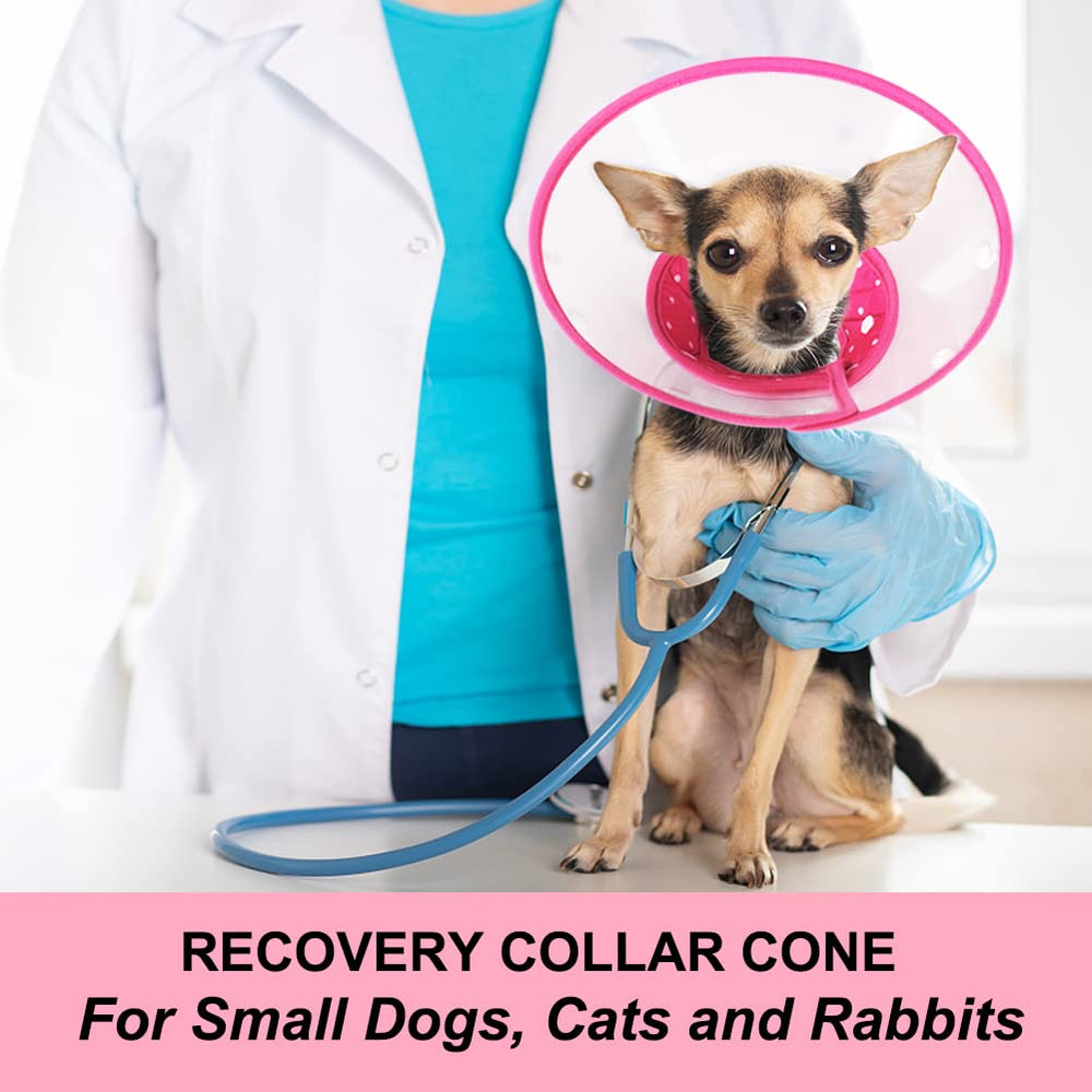 Cono Vivifying con diseño ergonómico para mascotas pequeñas.