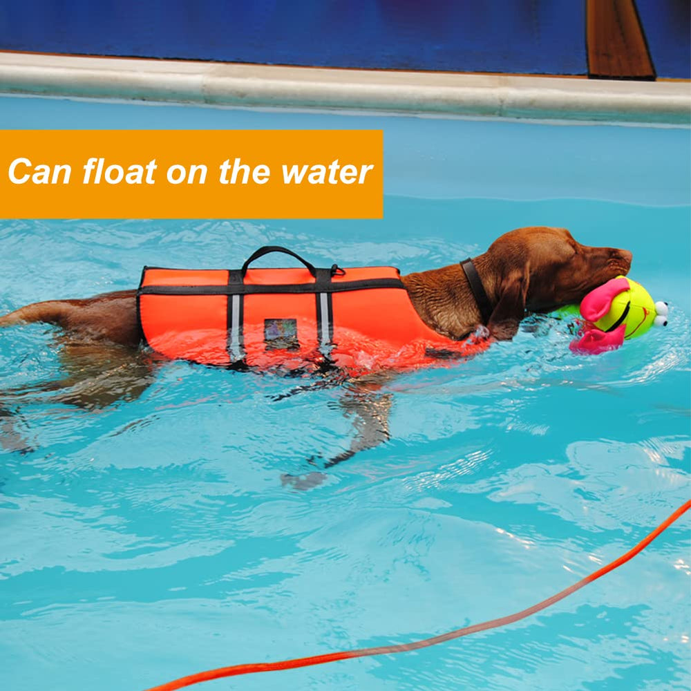 Vivifying perro nadando con cuerda flotante, visible y liviano en el agua.