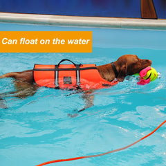 Vivifying perro nadando con cuerda flotante, visible y liviano en el agua.