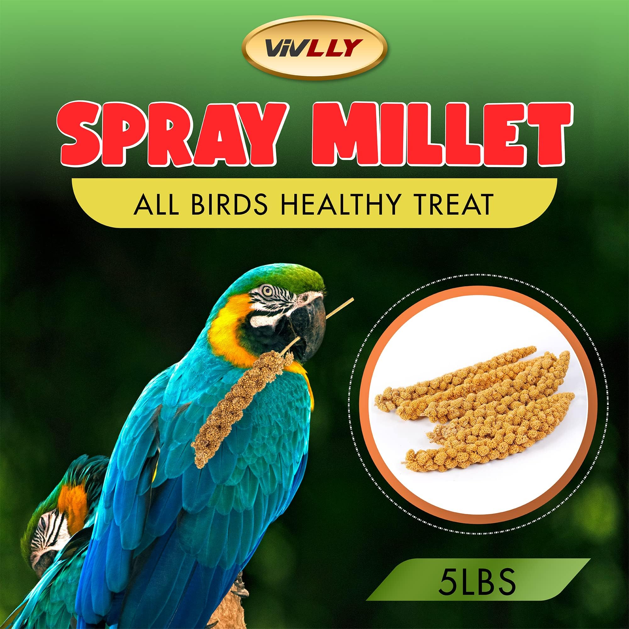 Vivlly alto en aminoácidos, ideal para una dieta balanceada de aves.