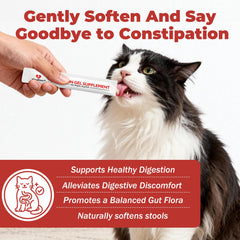VivaElixir cat-constipation-sticks-feeding: barras con sabor pollo para facilitar la toma.