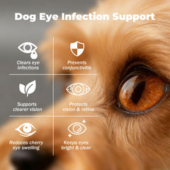 VivaElixir gotero para ojos caninos, fácil de mezclar con comida