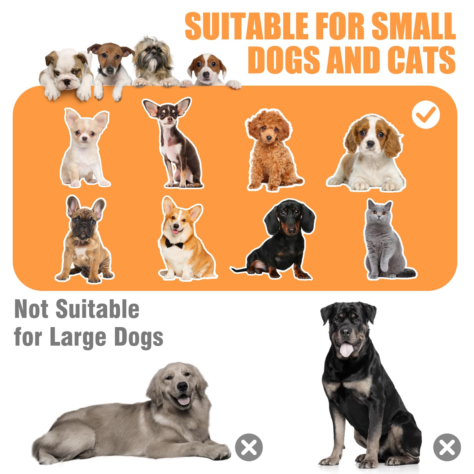 VIXLON plataforma-multinivel-para-mascotas: acceso seguro y juego al subir.