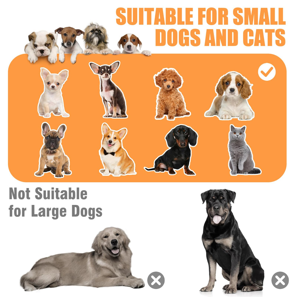 VIXLON plataforma-multinivel-para-mascotas: acceso seguro y juego al subir.