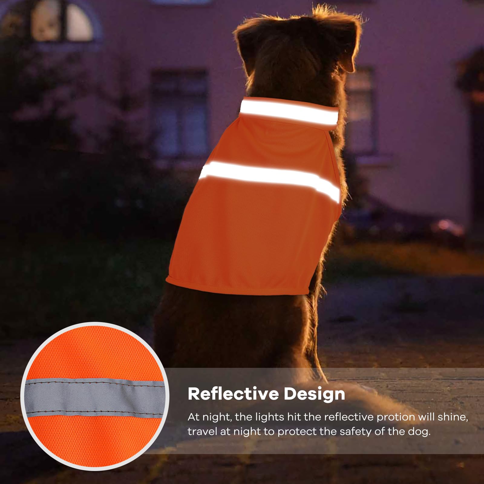 Vizbrite chaleco, cierre velcro y ajuste seguro para perros.