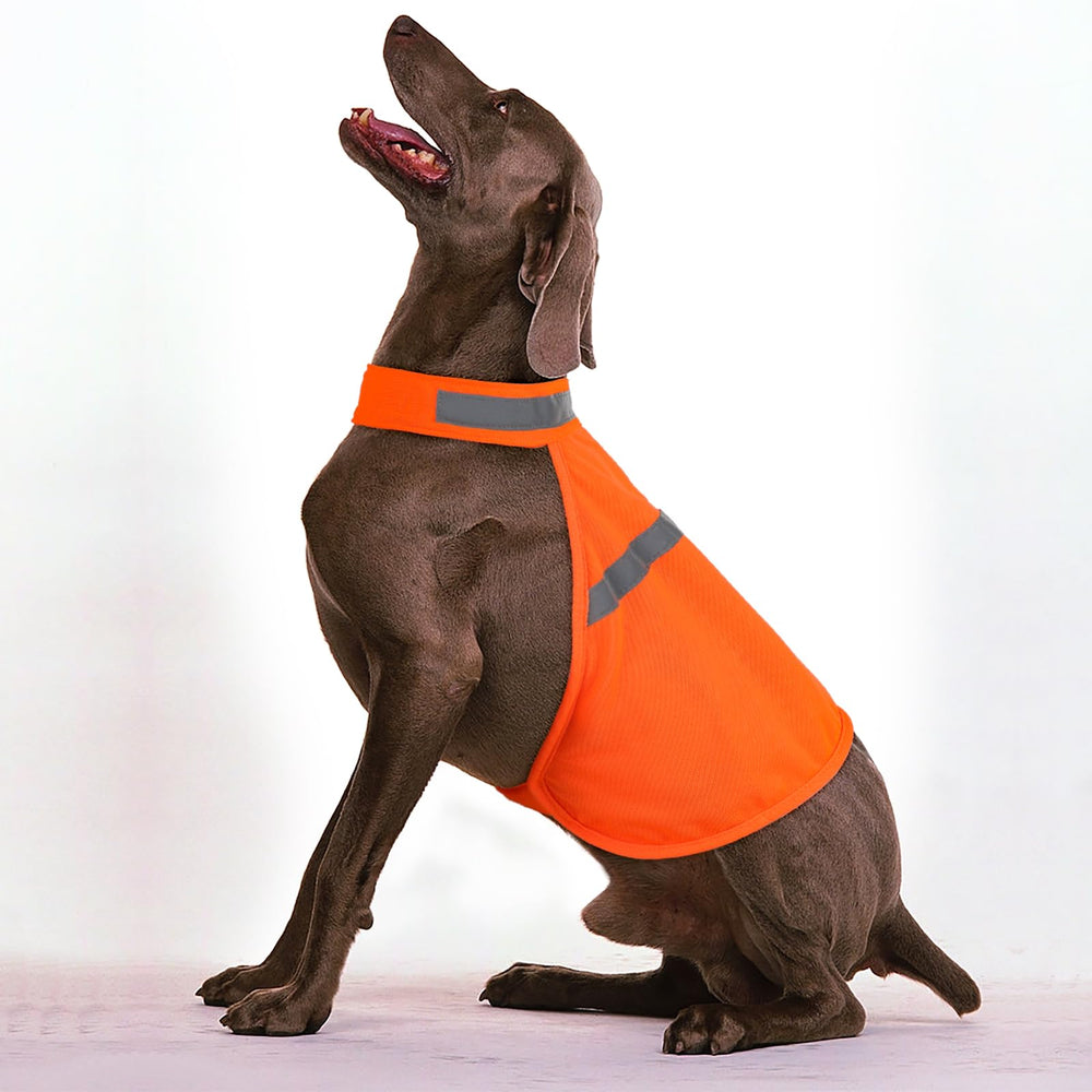 Vizbrite chaleco ofrece tallas para perros de distintos tamaños, ajuste cómodo.