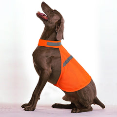 Vizbrite chaleco ofrece tallas para perros de distintos tamaños, ajuste cómodo.