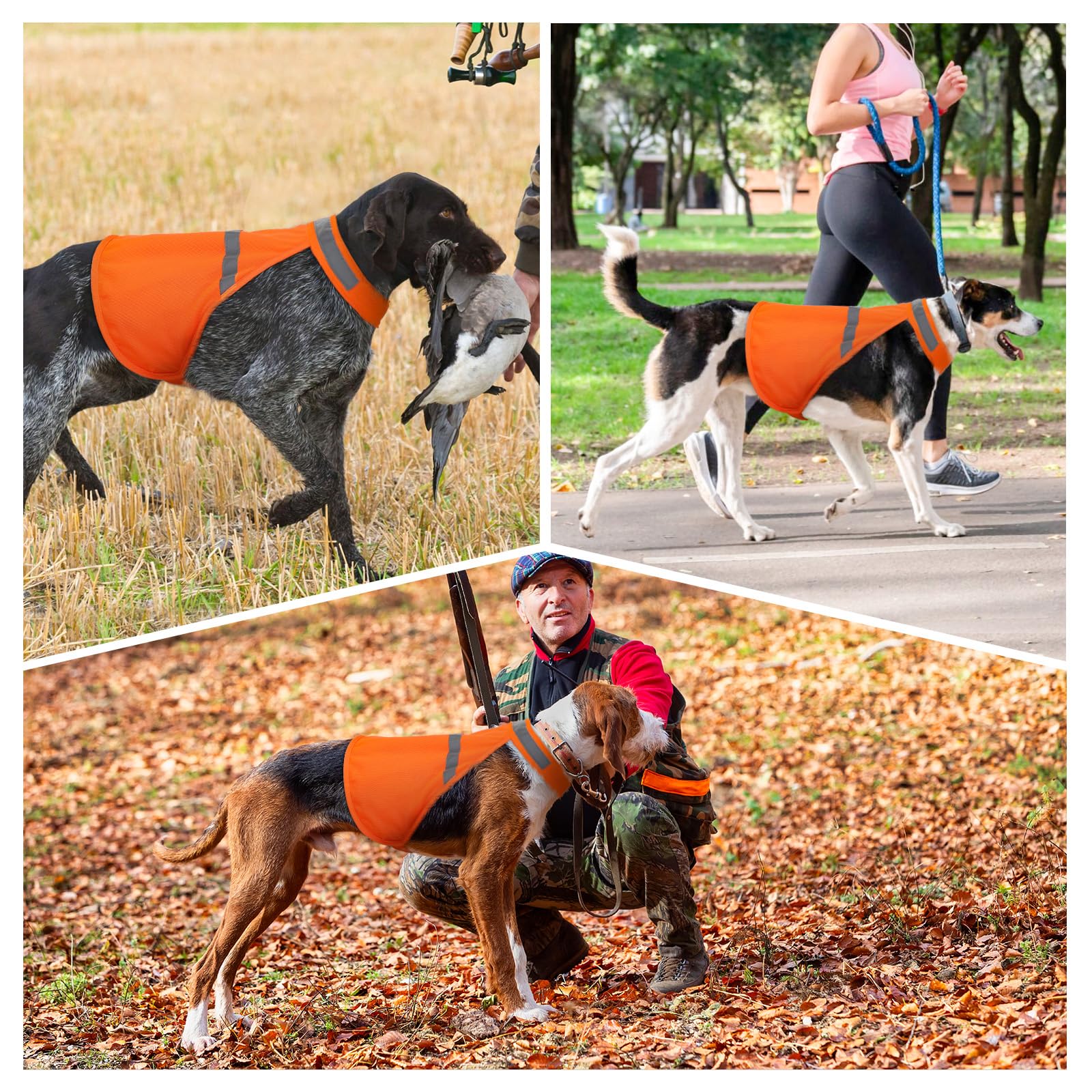 Vizbrite chaleco de uso exterior, ideal para paseos y actividades al aire libre.