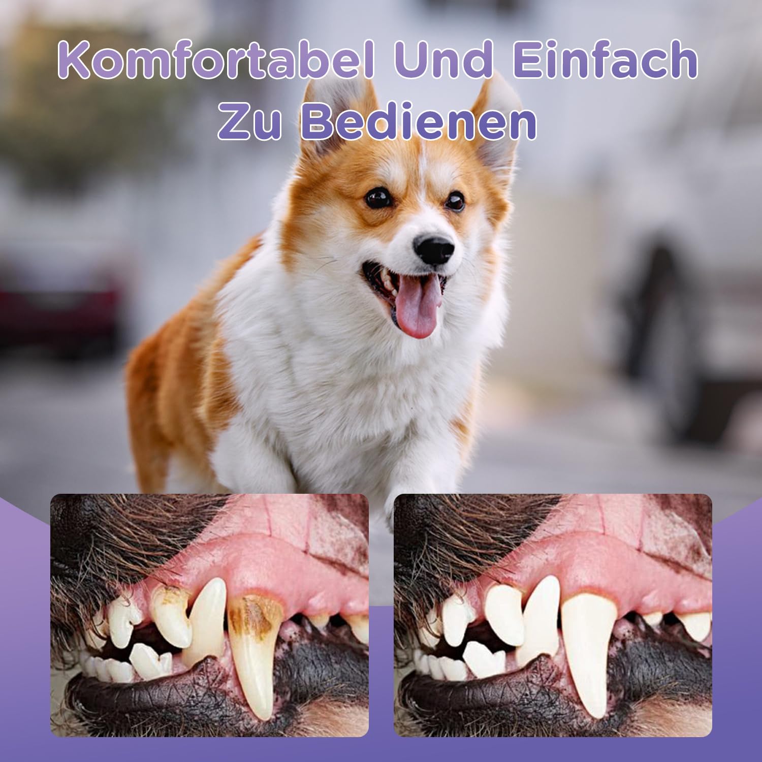 Vizela Gel oral para mascotas, fórmula suave con ingredientes naturales.