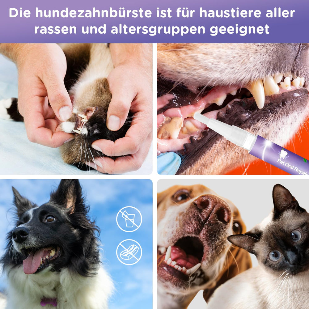 Vizela Gel oral para mascotas, compatible con otros productos de cuidado bucal.