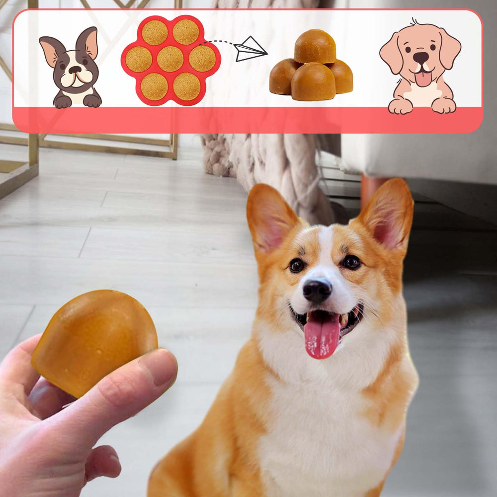 Vodolo molde con siete huecos para crear sabores variados para tu perro.