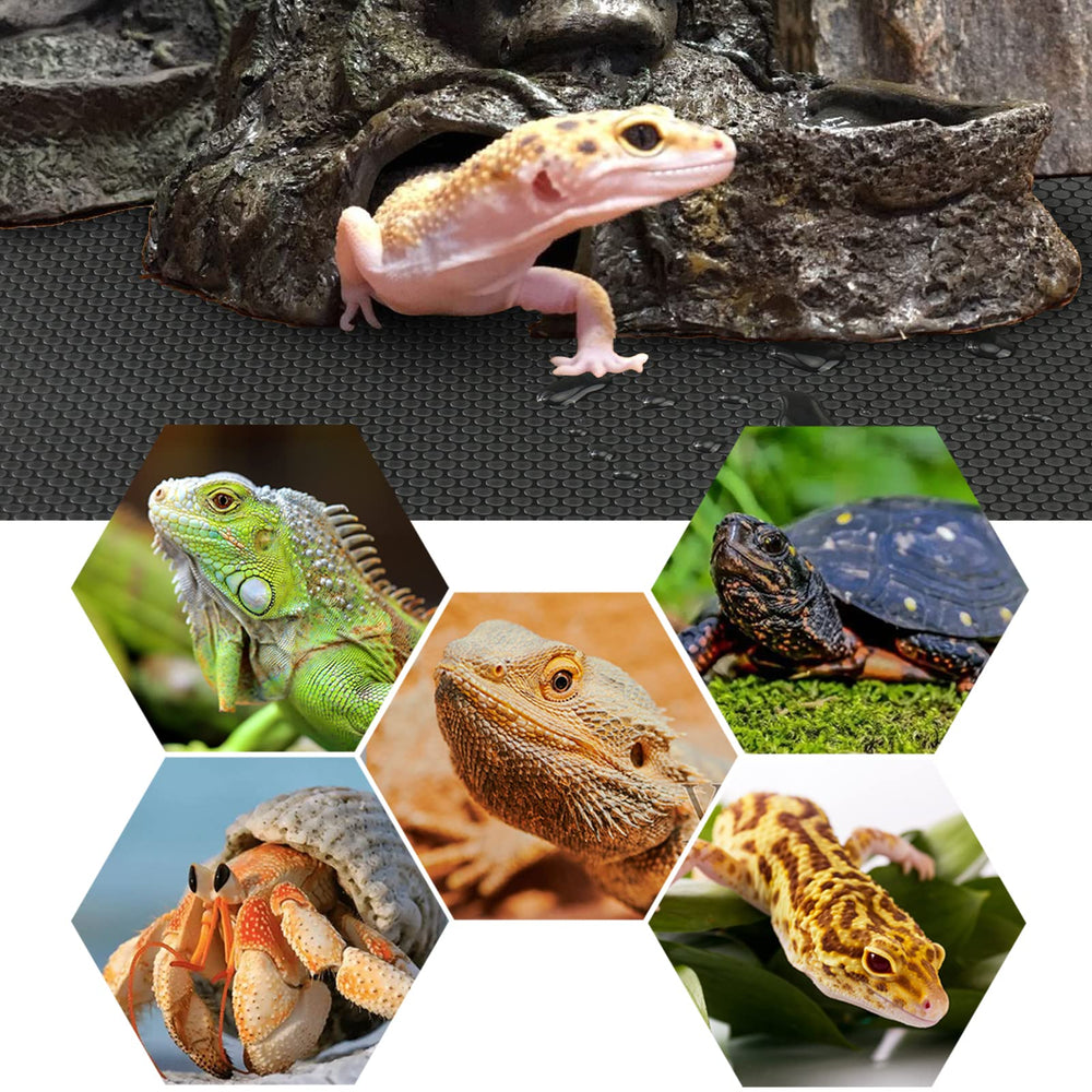 Vodolo superficie lisa no adherente para terrario reptil, limpieza fácil