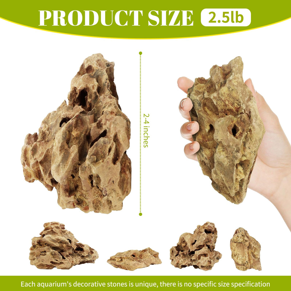 Detalle de panales en piedra dragón VOKOY, perfecto para paisajes acuáticos.
