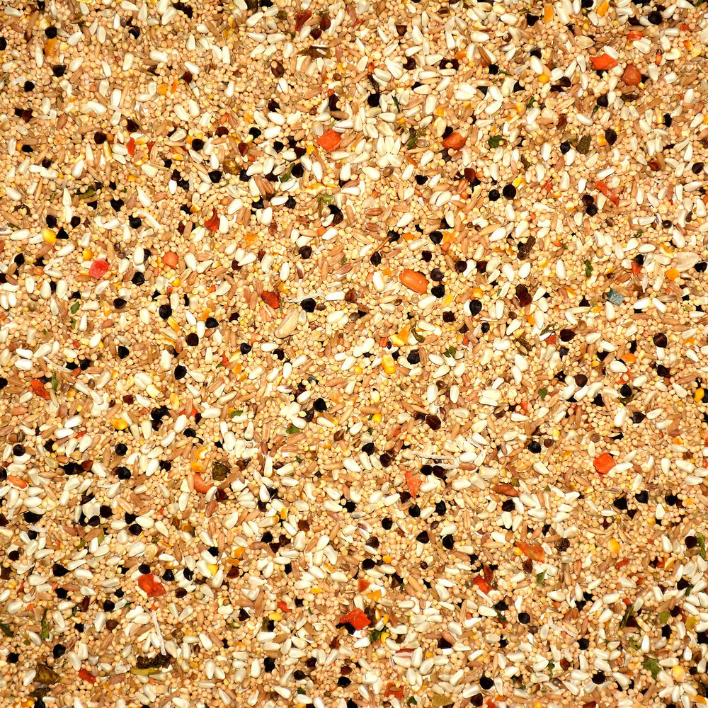 Volkman Ciencia Avícola: bolsa cerrada para frescura sostenida de la comida diaria de aves pequeñas.
