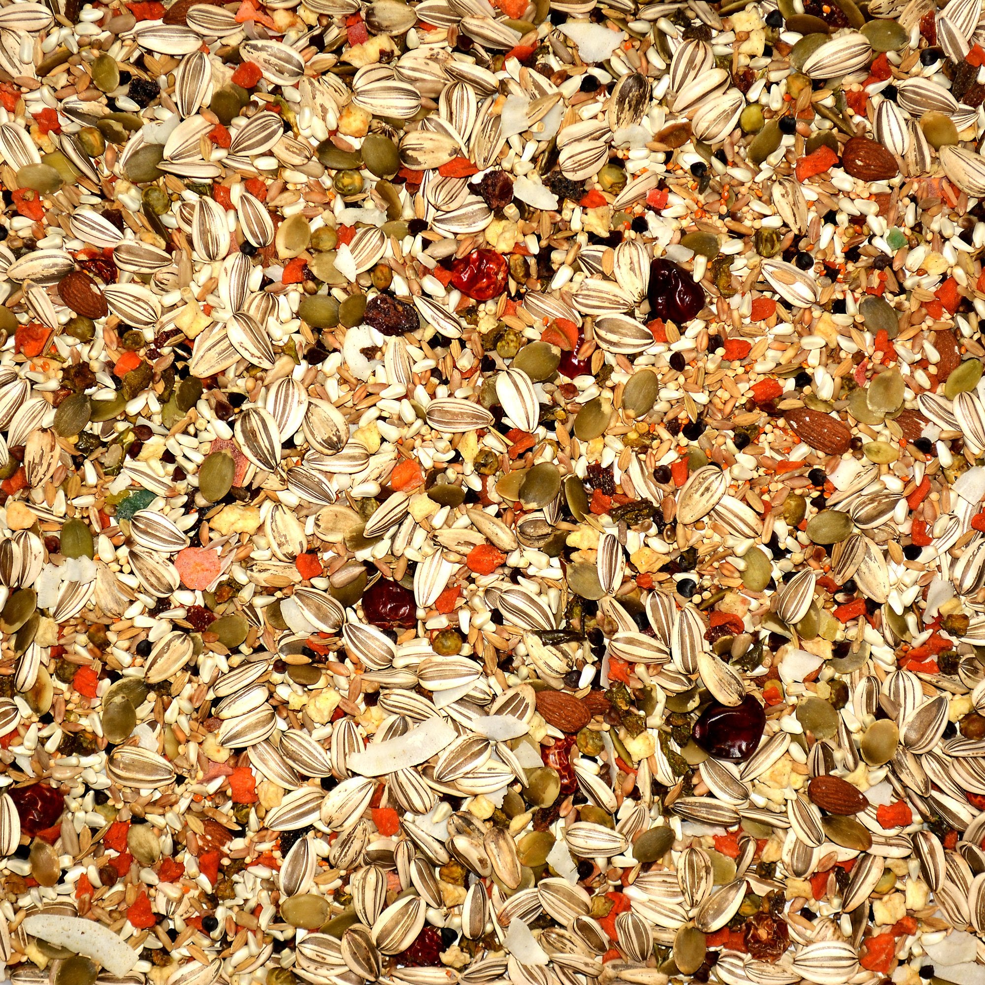 Volkman Avian Science Eclectus, trozos de zanahoria y fruta, fuente natural de vitamina A.