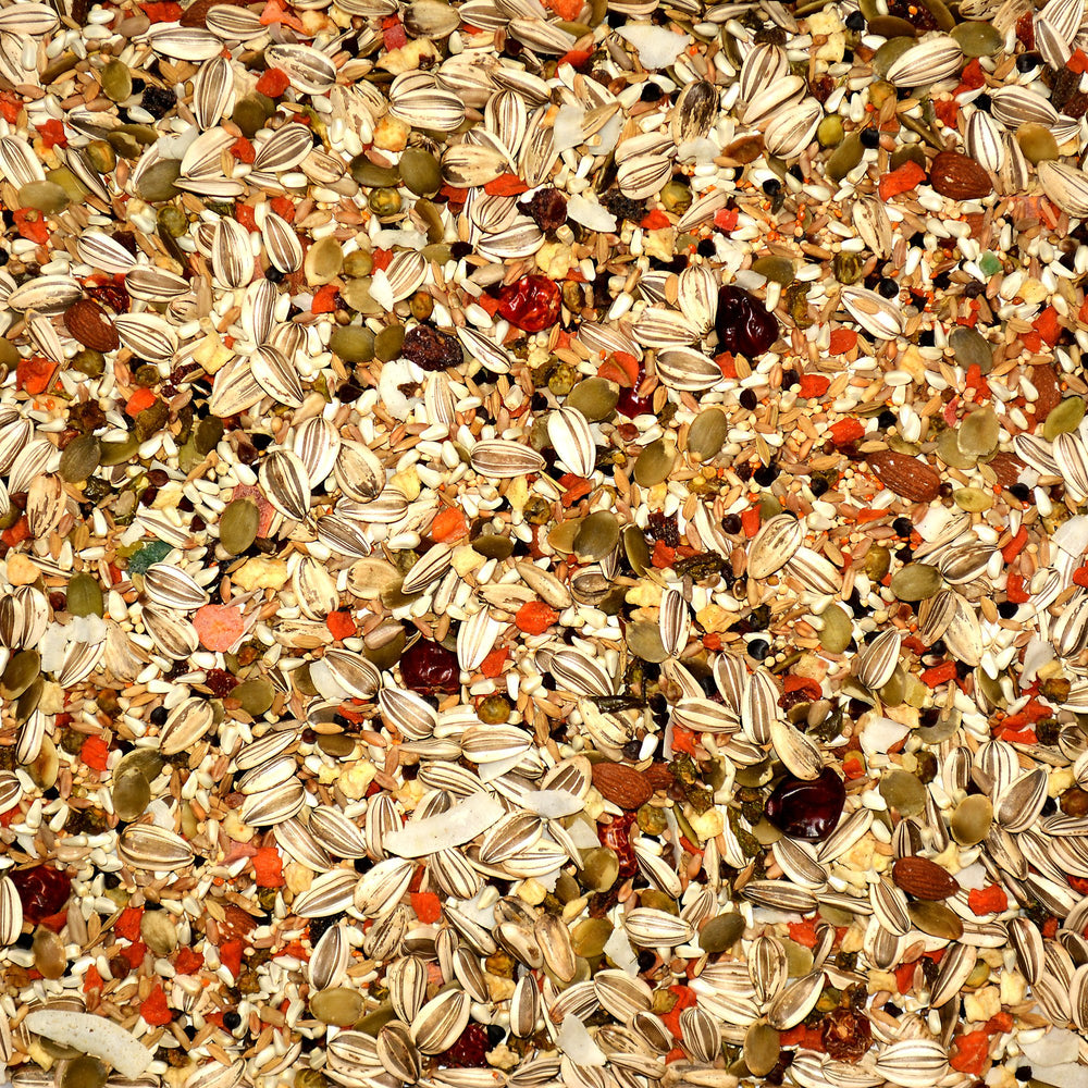 Volkman Avian Science Eclectus, trozos de zanahoria y fruta, fuente natural de vitamina A.