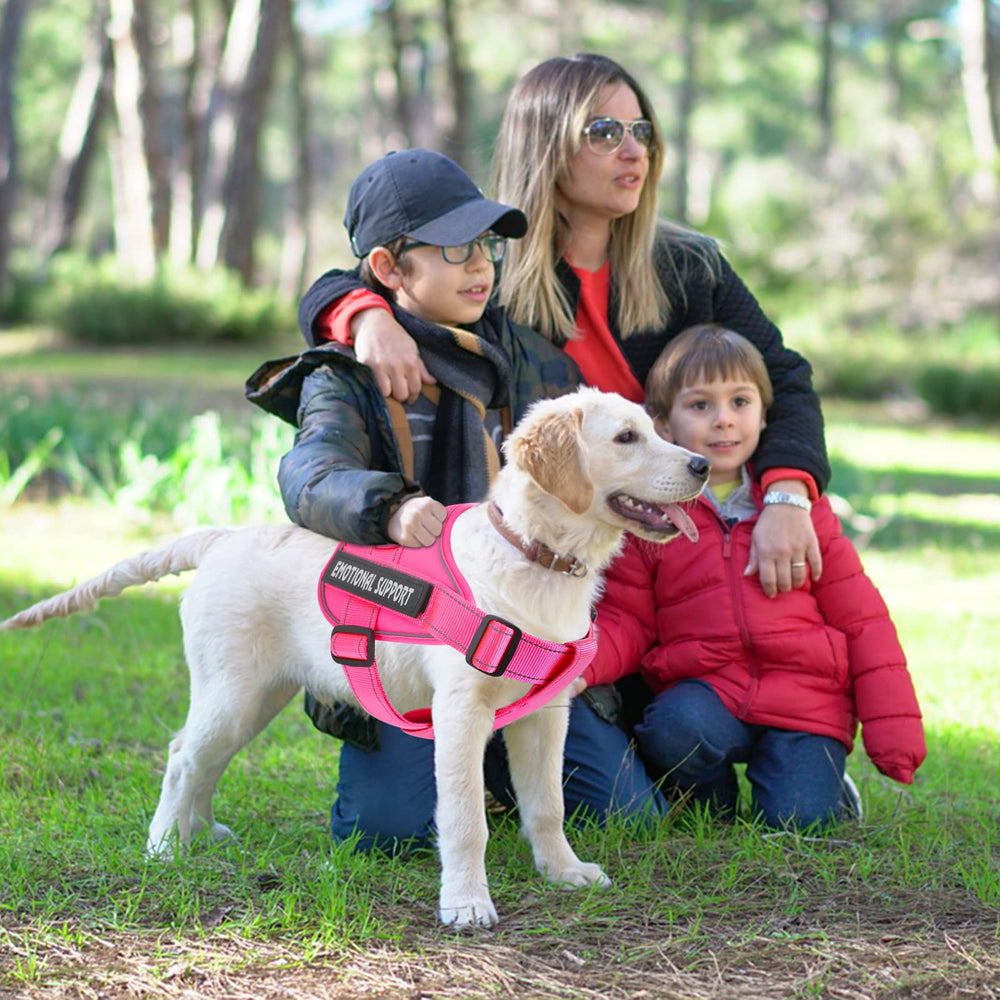 VOOPET arnés ajustable para perros, se adapta fácilmente a distintas tallas.