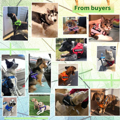 VOOPET arnés práctico de colocación rápida para perros pequeños y grandes.