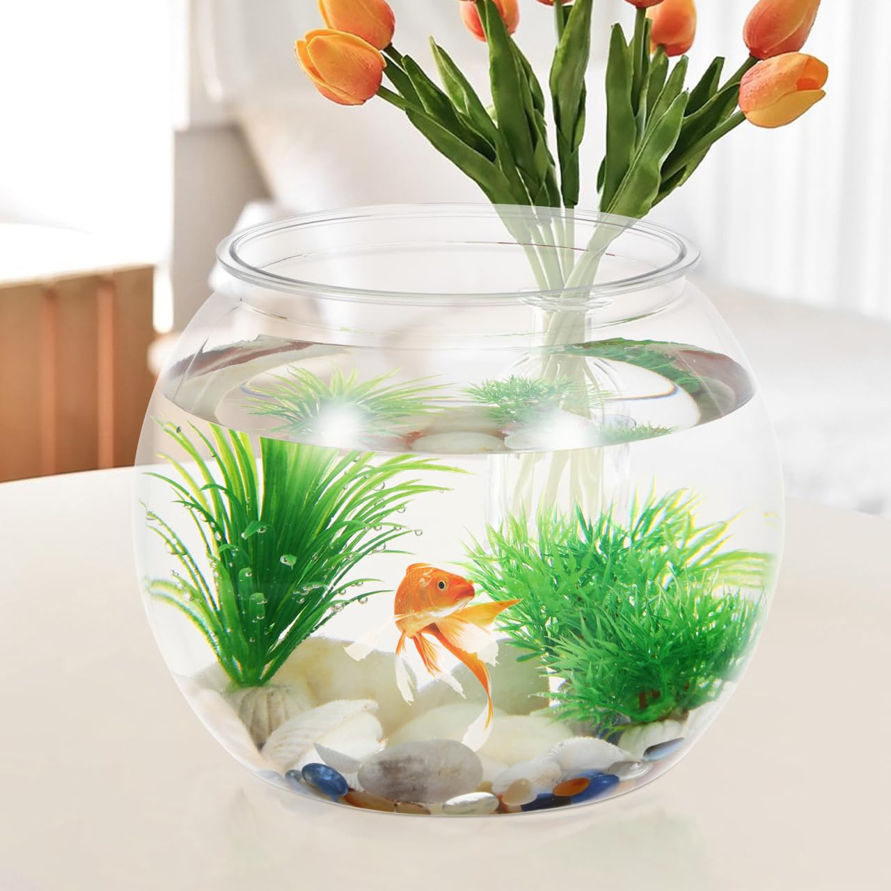 Acuario compacto plástico para aula VOSAREA