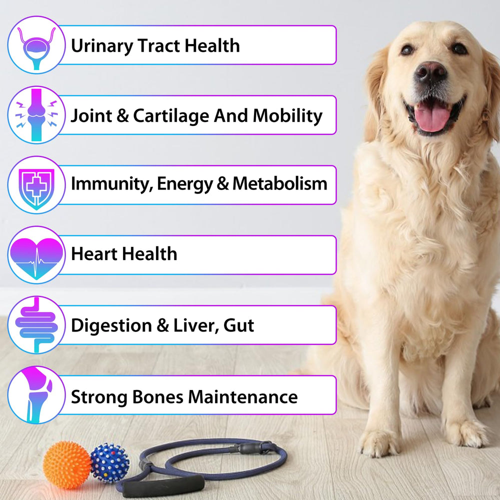 VOSIFSDIY multivitamínico para perros, etiqueta frontal con nutrientes.
