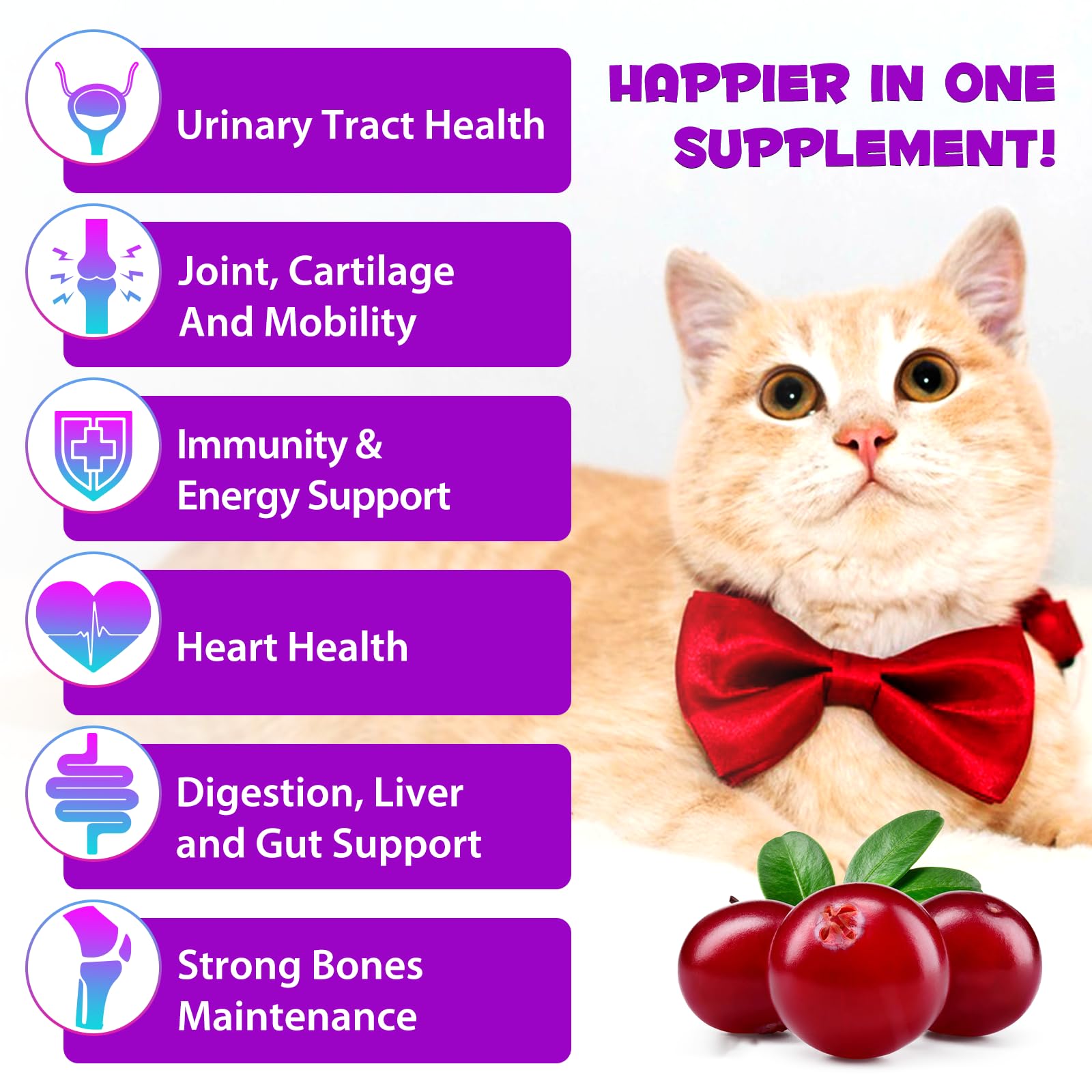 Mezcla fácil en comida con VOSIFSDIY Gato Multivitaminas para dosis diarias.