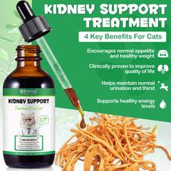 VOSIFSDIY Gatos, bote de vidrio 60 ml para uso diario
