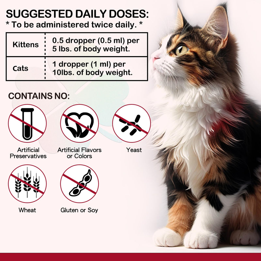 VOSIFSDIY mezcla en comida para gatos con paladar exigente.