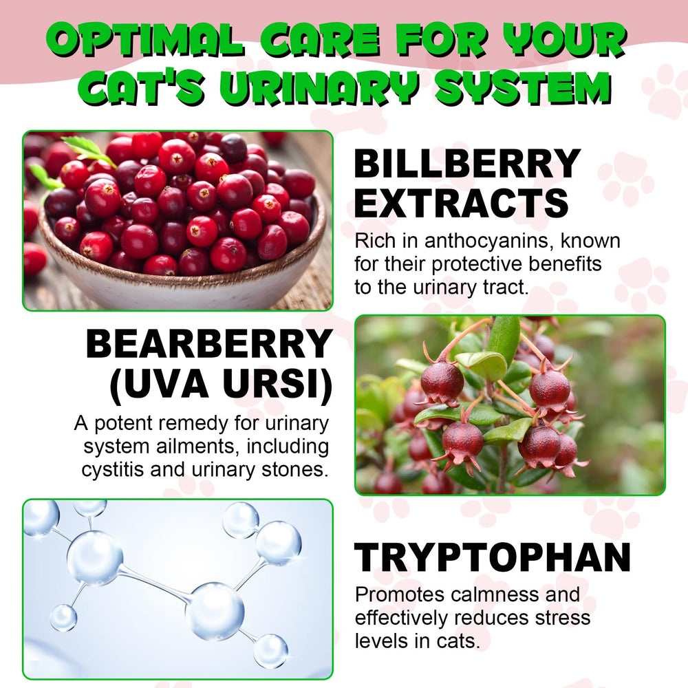 Salud urinaria natural VOSIFSDIY para gatos.