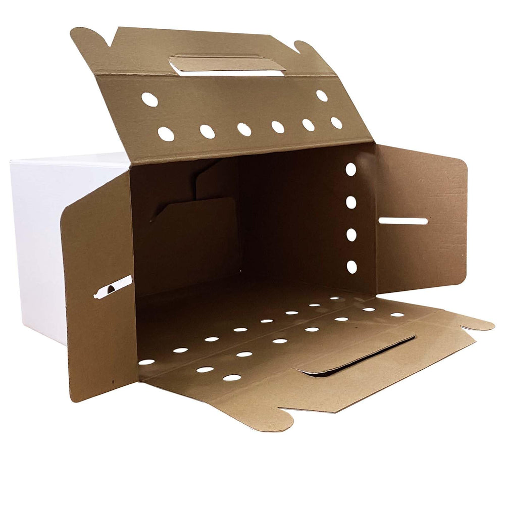 Caja de transporte Vowcarol para mascotas con ventilación, práctica para viajes cortos.