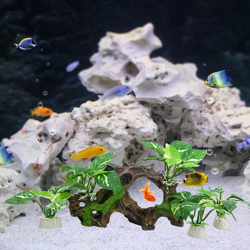 Escena Vtapliea para acuario betta, hábitat natural sugerido
