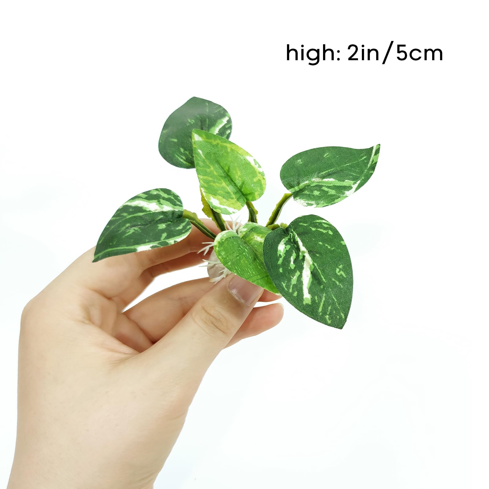 Conjunto de plantas de seda Vtapliea añade color y vegetación suave en acuario