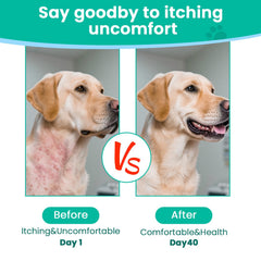 VUN Dog Allergy Relief Chews ingredientes: colostro, omega-3 y probióticos para la salud digestiva.