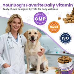 VUN digestión e inmunidad masticables para flora intestinal y defensas.